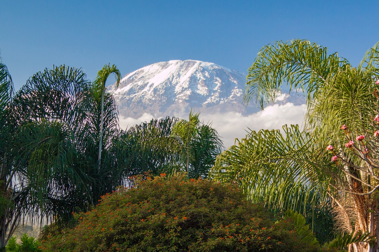 Mount Kilimanjaro Kenya