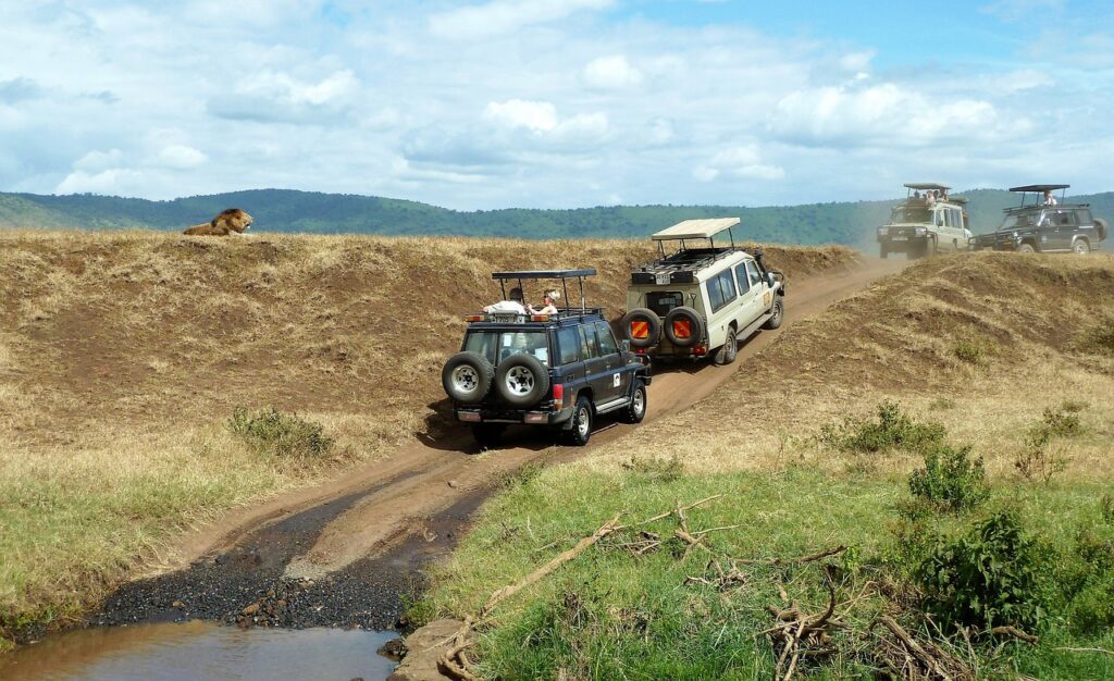 Ngorongoro safaris