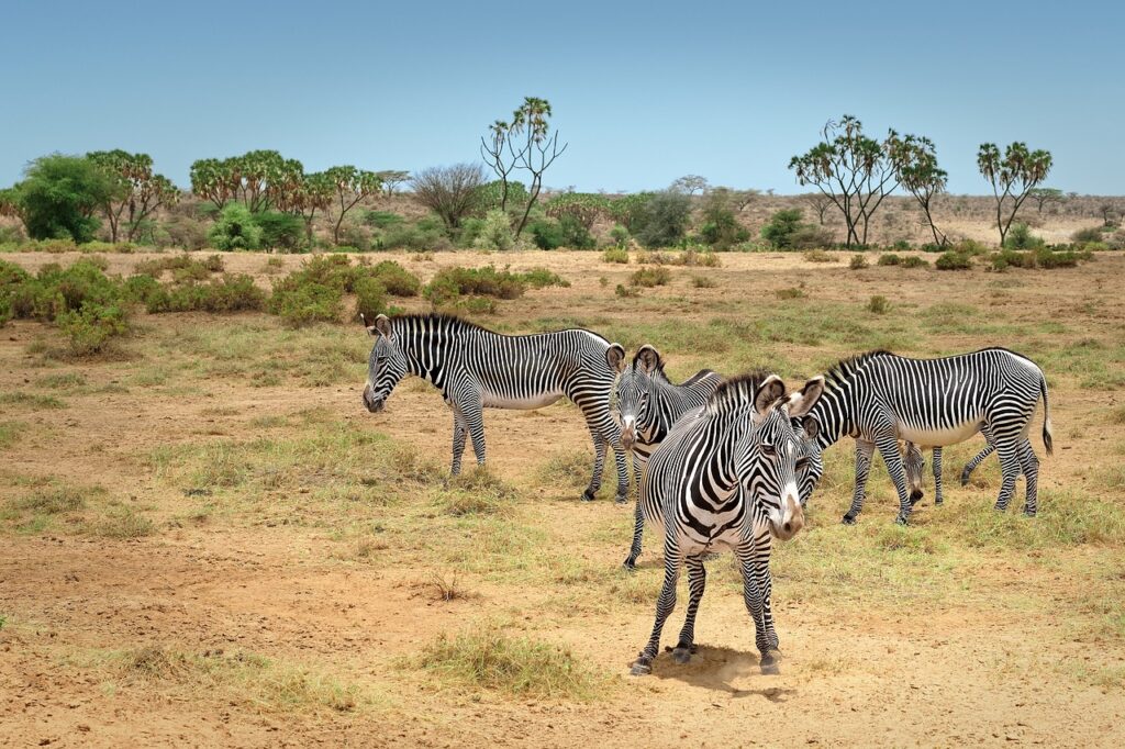 Samburu National Park