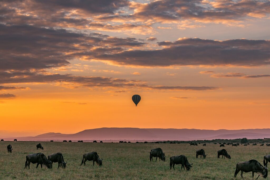 Sundset in Serengeti national park