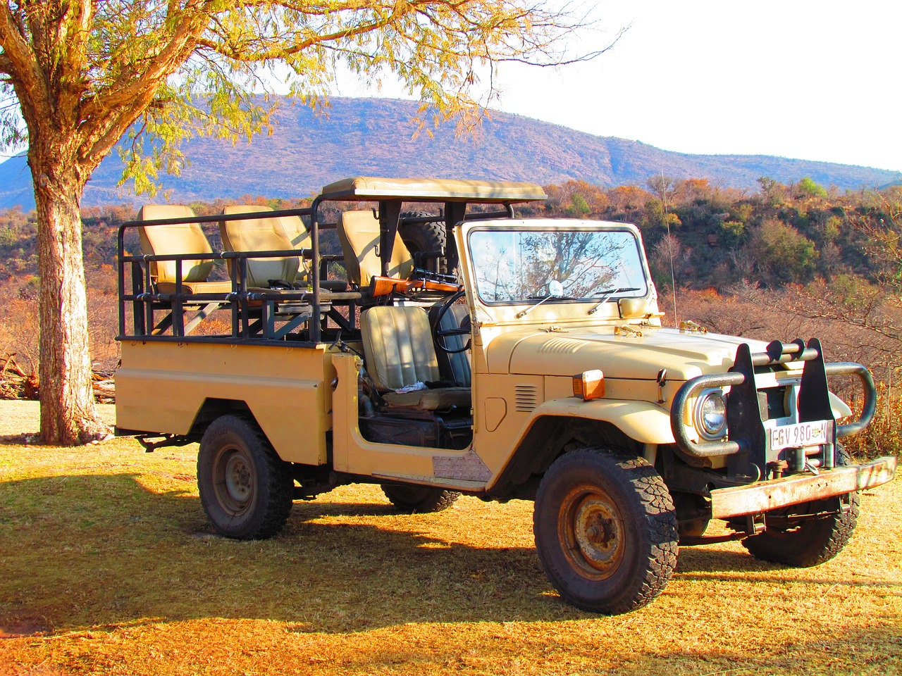 self drive safaris